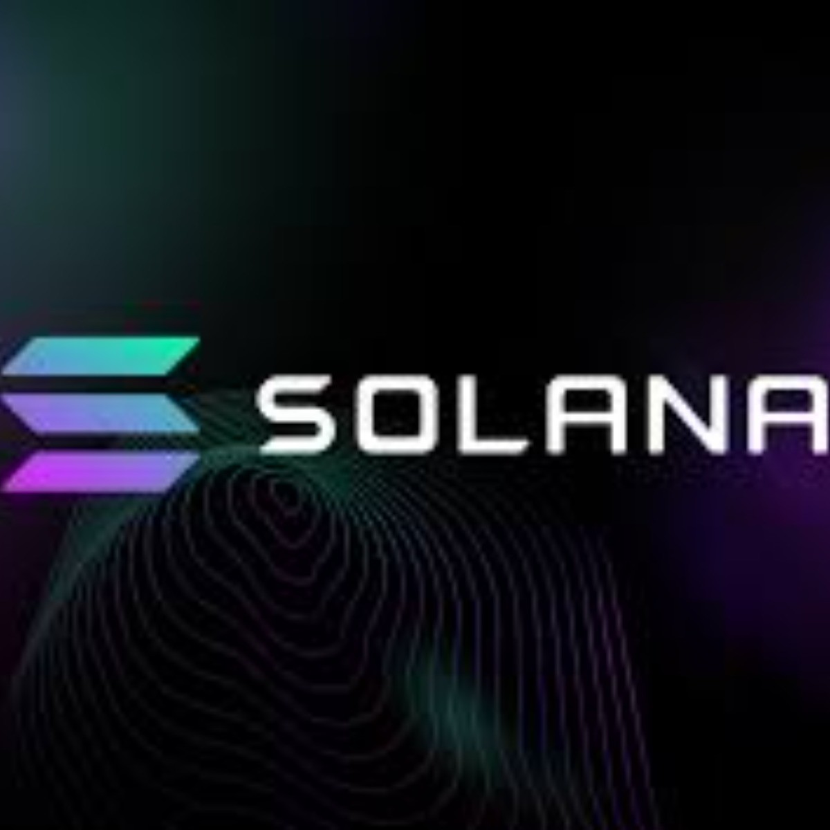 banner-profile