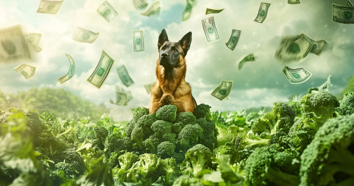 CZ’s Dog Broccoli Leads To Billions In Meme Coin Madness