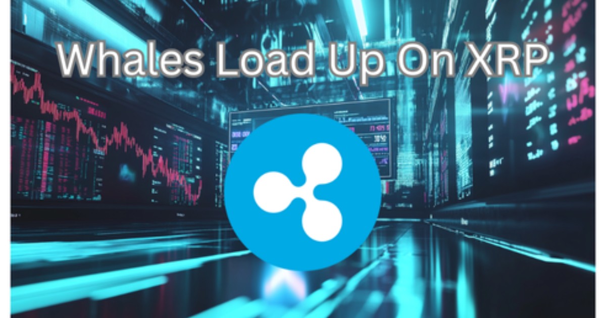 XRP Is Eating Ethereum's Lunch Right Now As Whales Load Up