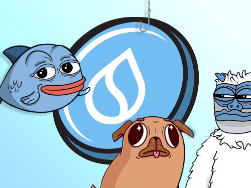 The Upcoming SUI Memecoin Craze